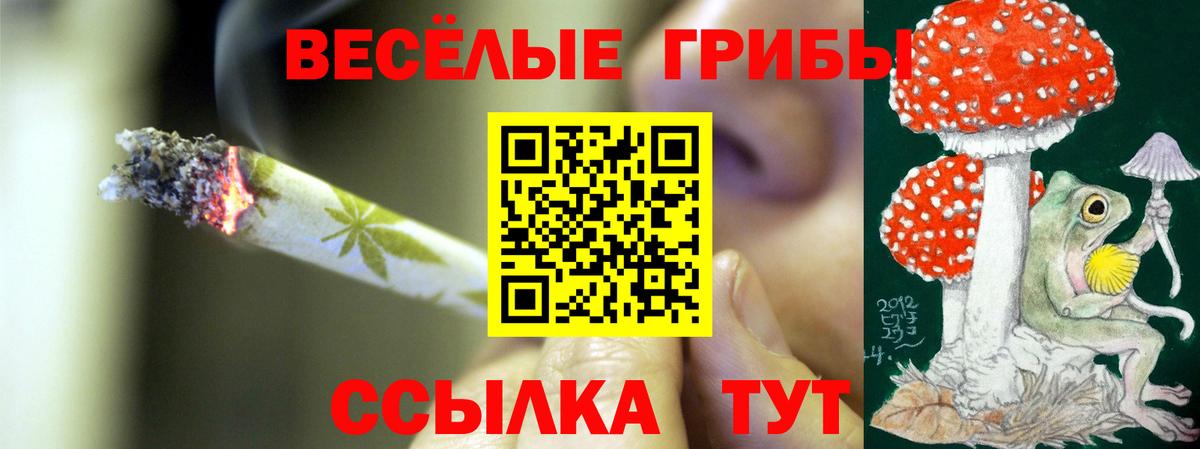 Псилоцибиновые грибы ЛСД Владимир