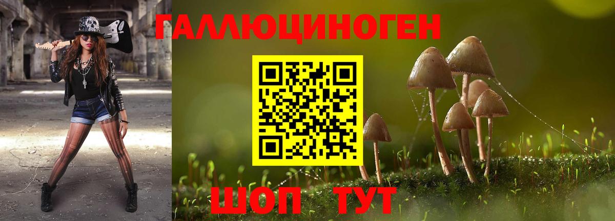 Владимир  Галлюциногенные грибы Cubensis  Вход с VPN 